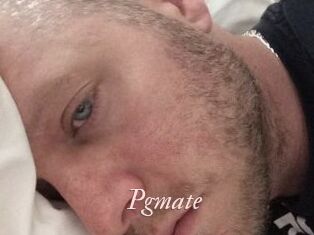 Pgmate