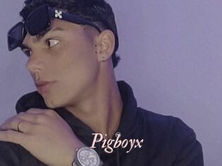 Pigboyx