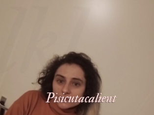 Pisicutacalient