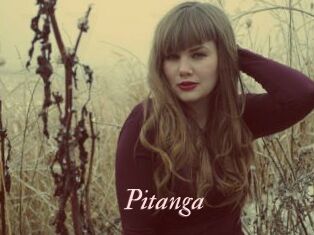 Pitanga