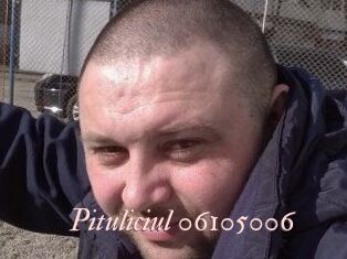 Pituliciul-06105006