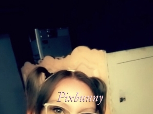 Pixbunny