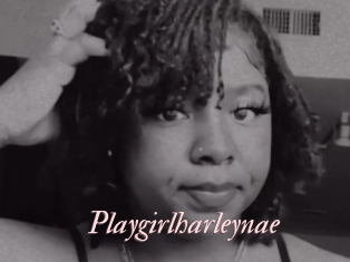 Playgirlharleynae
