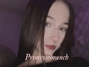 Primrosebranch