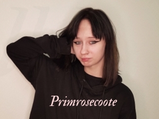 Primrosecoote