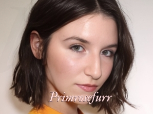 Primrosefurr