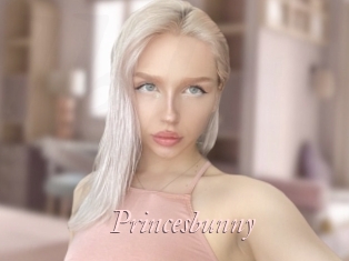 Princesbunny