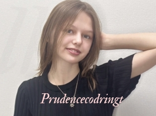 Prudencecodringt