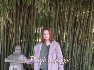 Prudencefigge