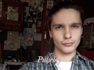 Pulseboy