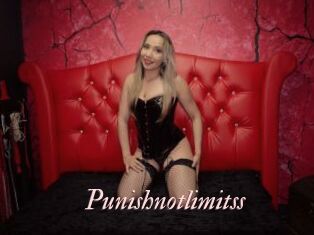 Punishnotlimitss
