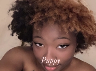 Puppy