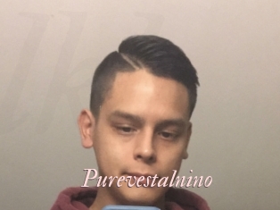 Purevestalnino