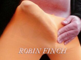 ROBIN_FINCH
