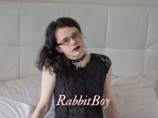 RabbitBoy