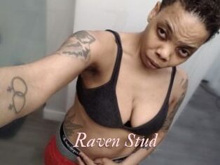 Raven_Stud