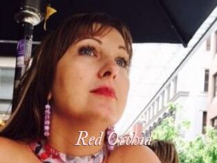 Red_Orchid