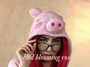 Red_blooming_rose