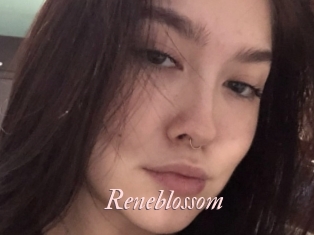 Reneblossom