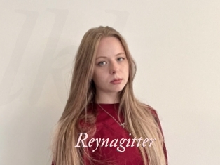 Reynagitter