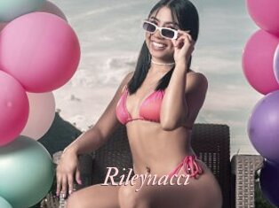 Rileynacci