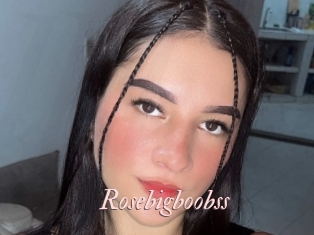 Rosebigboobss