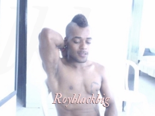 royblackbig Leukelol
