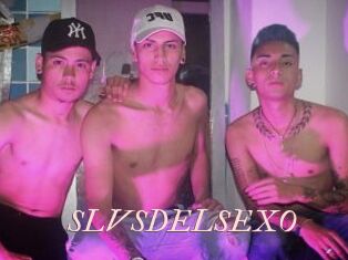 SLVSDELSEXO