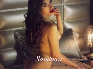 Sambuca