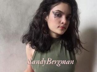 SandyBergman