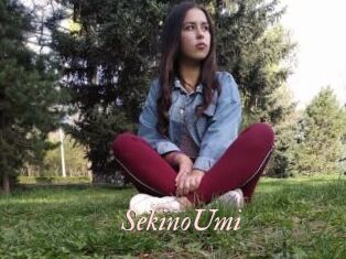 SekinoUmi