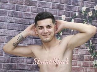 ShaneBlack