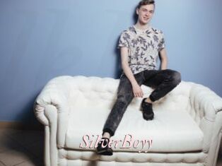 SilverBoyy