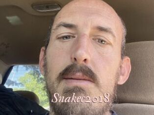 Snakec2018