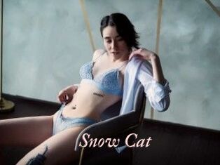 Snow_Cat