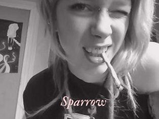 Sparrow