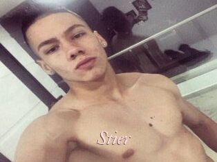 Stier