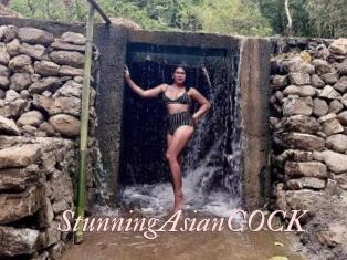 StunningAsianCOCK