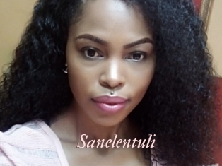 Sanelentuli