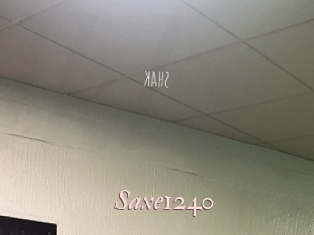 Saxe1240