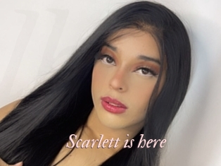 Scarlett_is_here