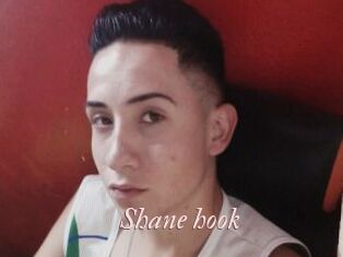 Shane_hook