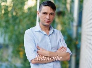 Sid_incube