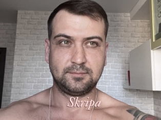 Skripa