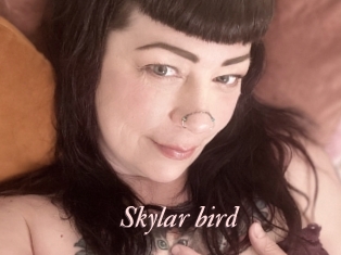 Skylar_bird