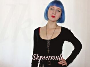 Skynetsoull
