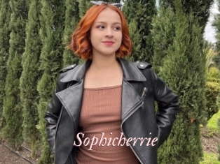 Sophicherrie