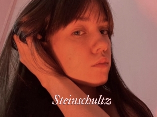 Steinschultz