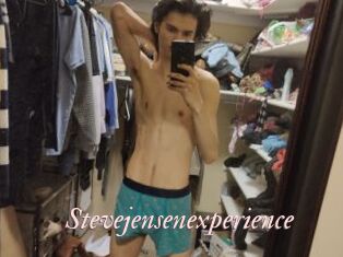 Stevejensenexperience