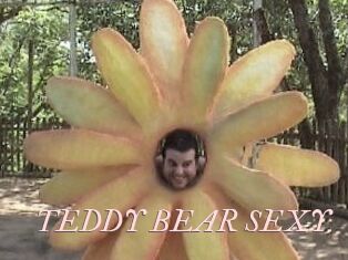 TEDDY_BEAR_SEXY